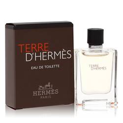 Terre D&